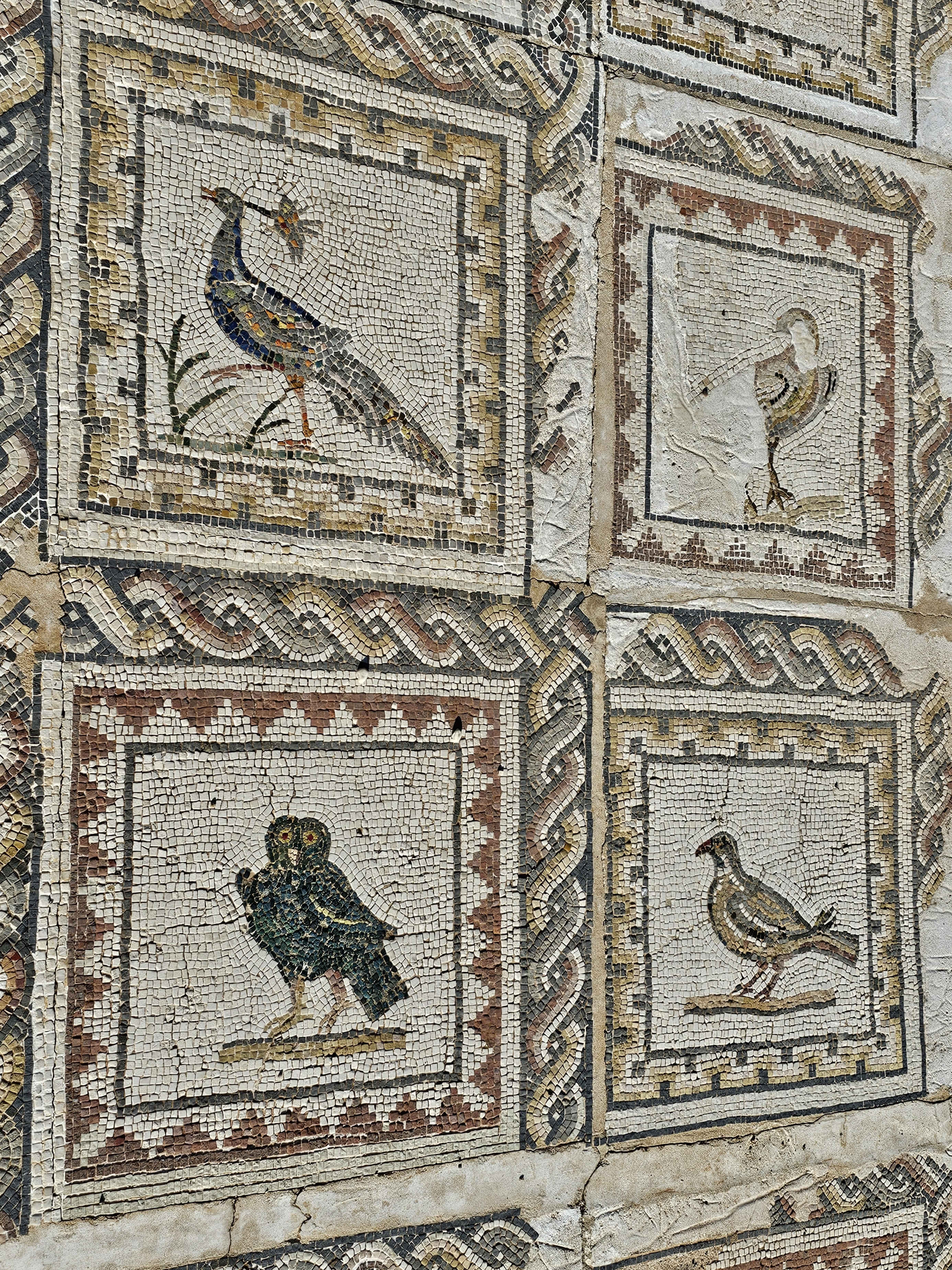 Italica
